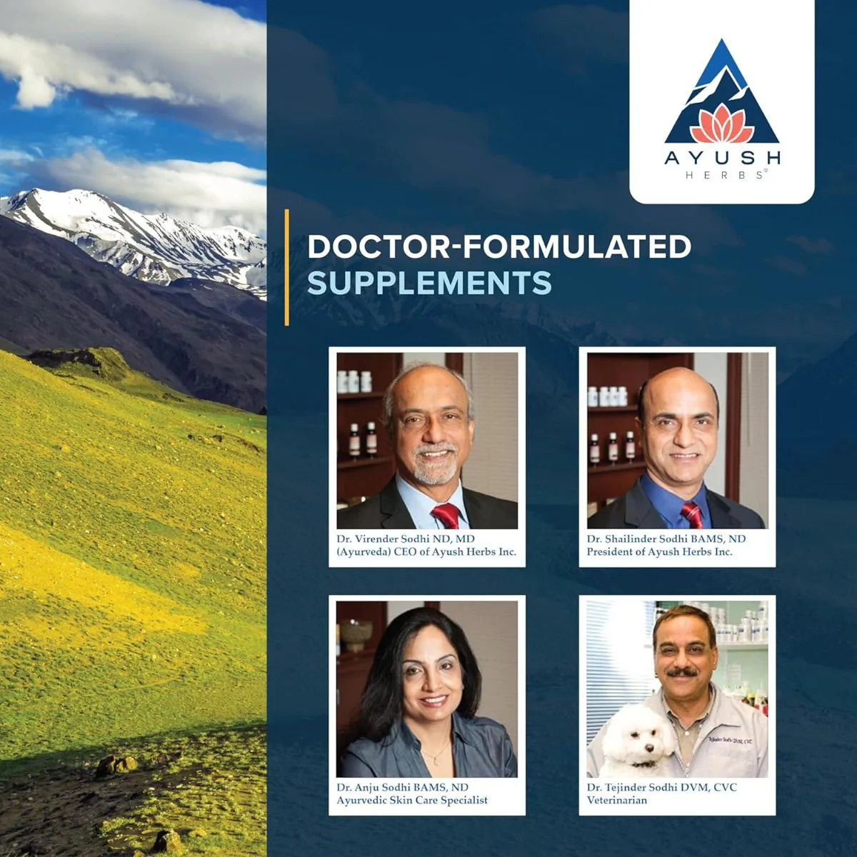 Bio Gymnema 90Veggie Caps - Image 8