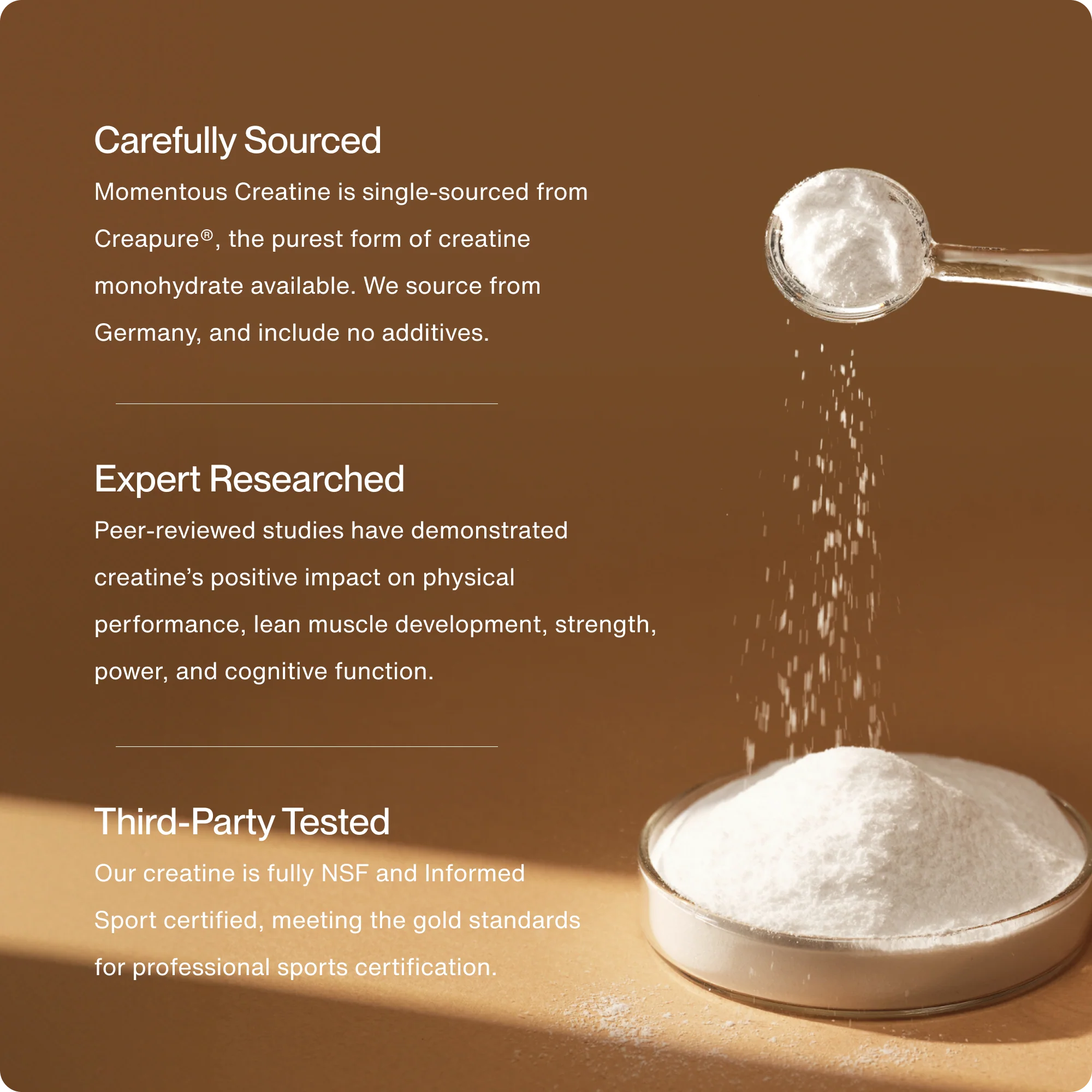 Creatine 15-Travel Packs - Image 3