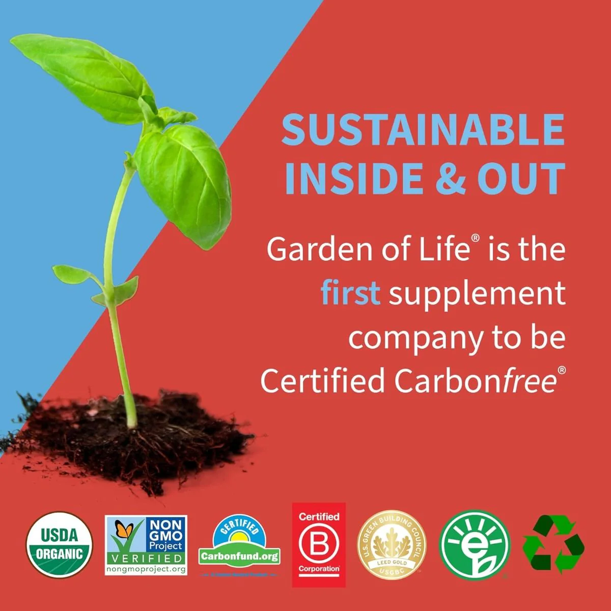 Dr. Formulated Probiotic Kids 5 Billion 60 Gummies Strawberry - Image 6