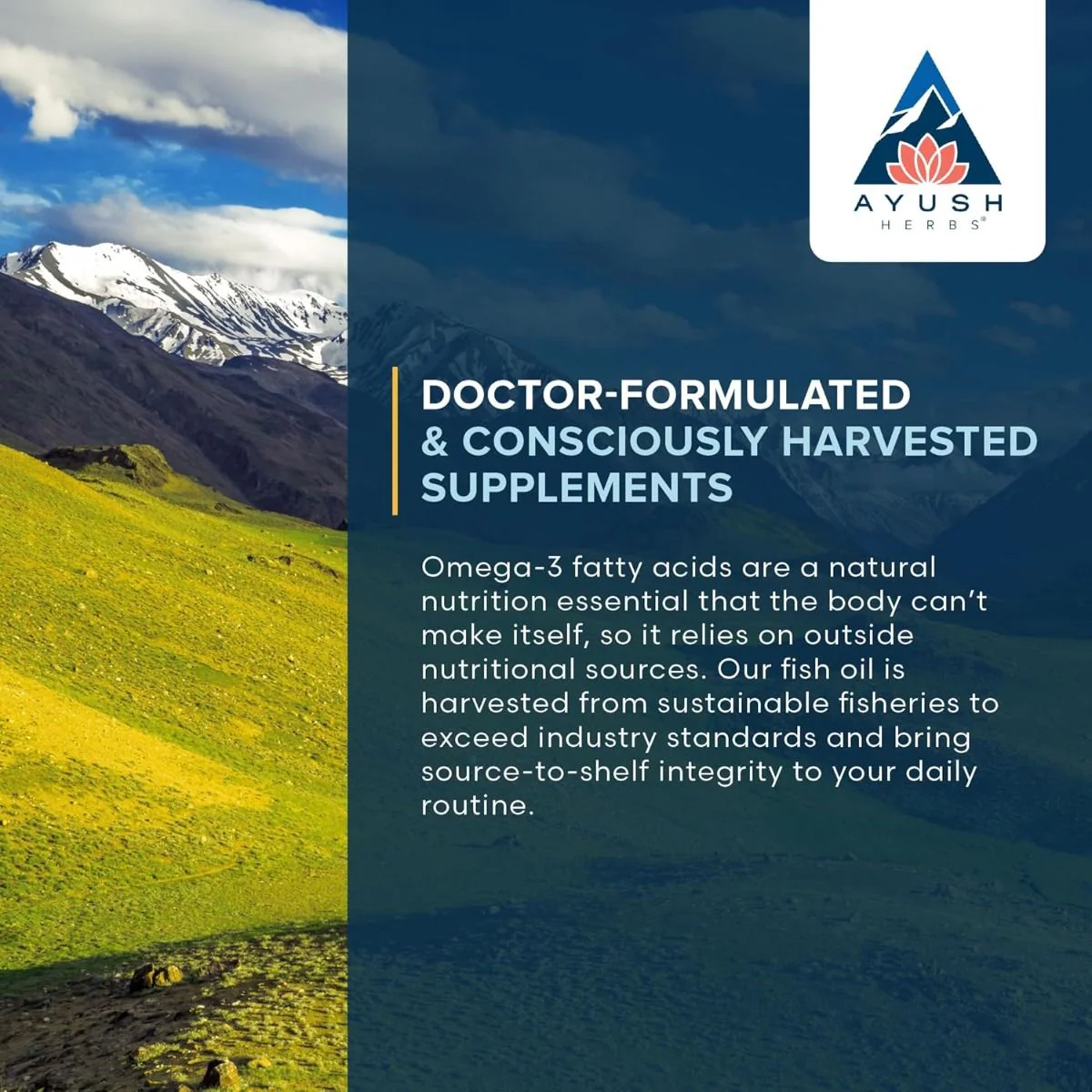 High Omega 3 1250 MG 60 Softgels - Image 8