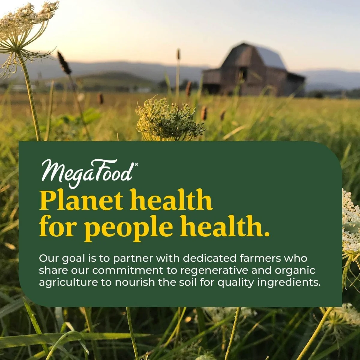 Blood Builder Iron - Image 6