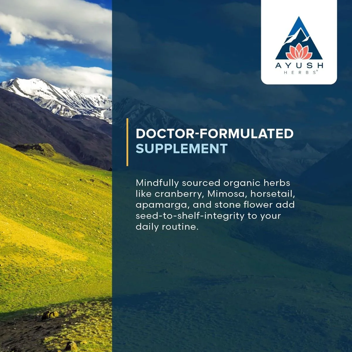 Rentone 90Caplets - Image 8