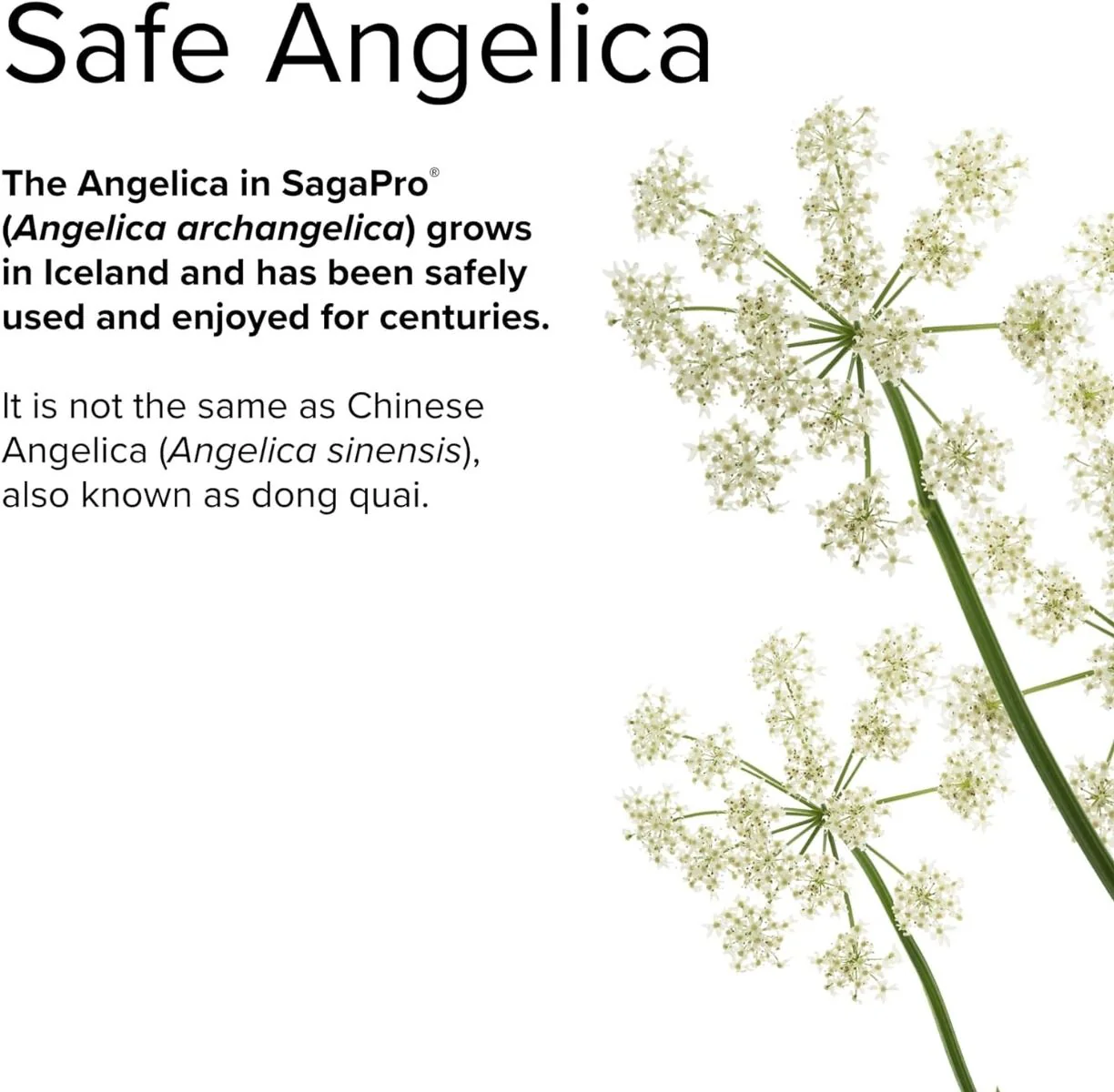 SagaPro Bladder Health 60 Capsules - Image 5