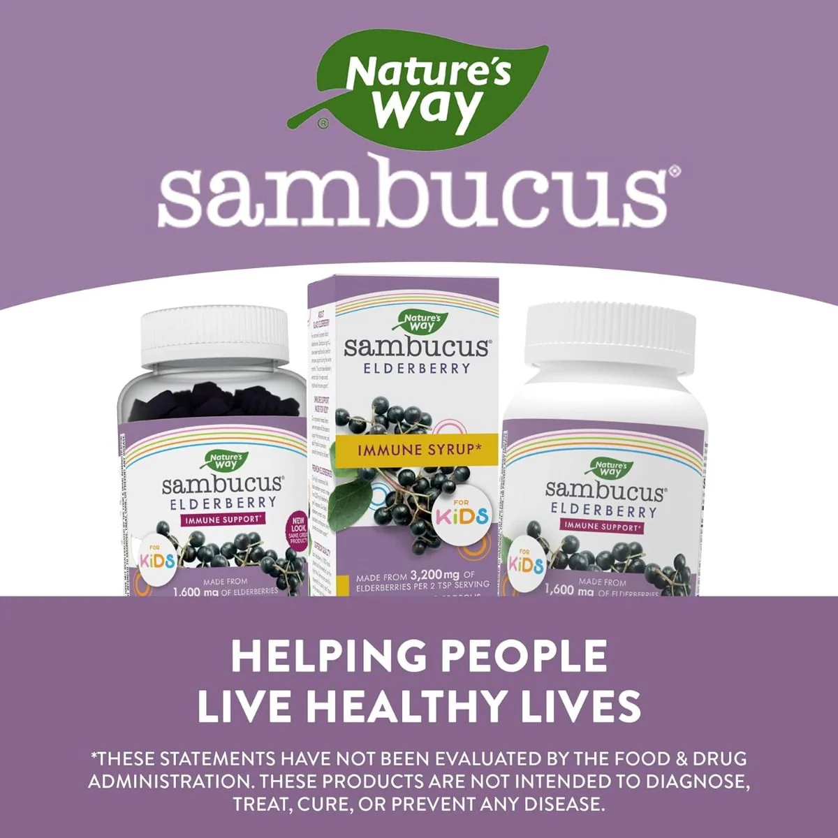 Sambucus for Kids 4 OZSyrupBerry - Image 4