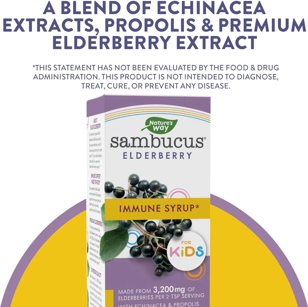 Sambucus for Kids 4 OZSyrupBerry - Image 8