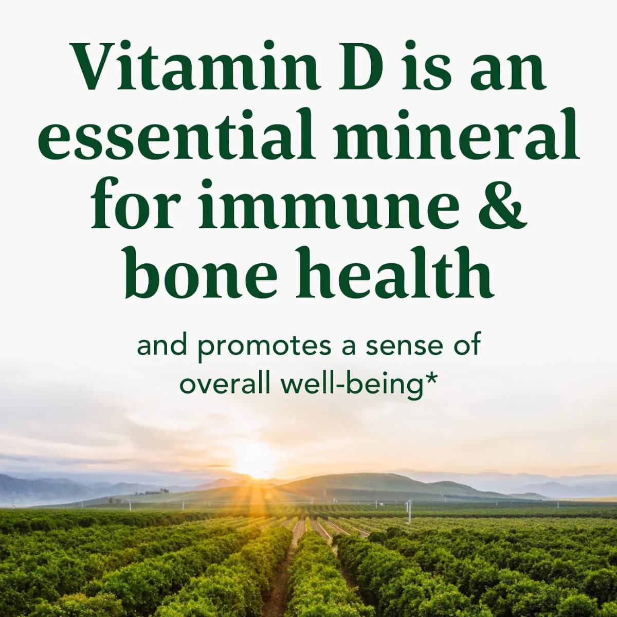 Vitamin D3 1000 IU 60 Tablets - Image 4