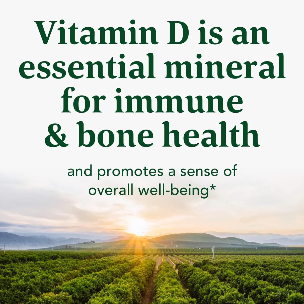 Vitamin D3 2000 IU 30 Tablets - Image 4