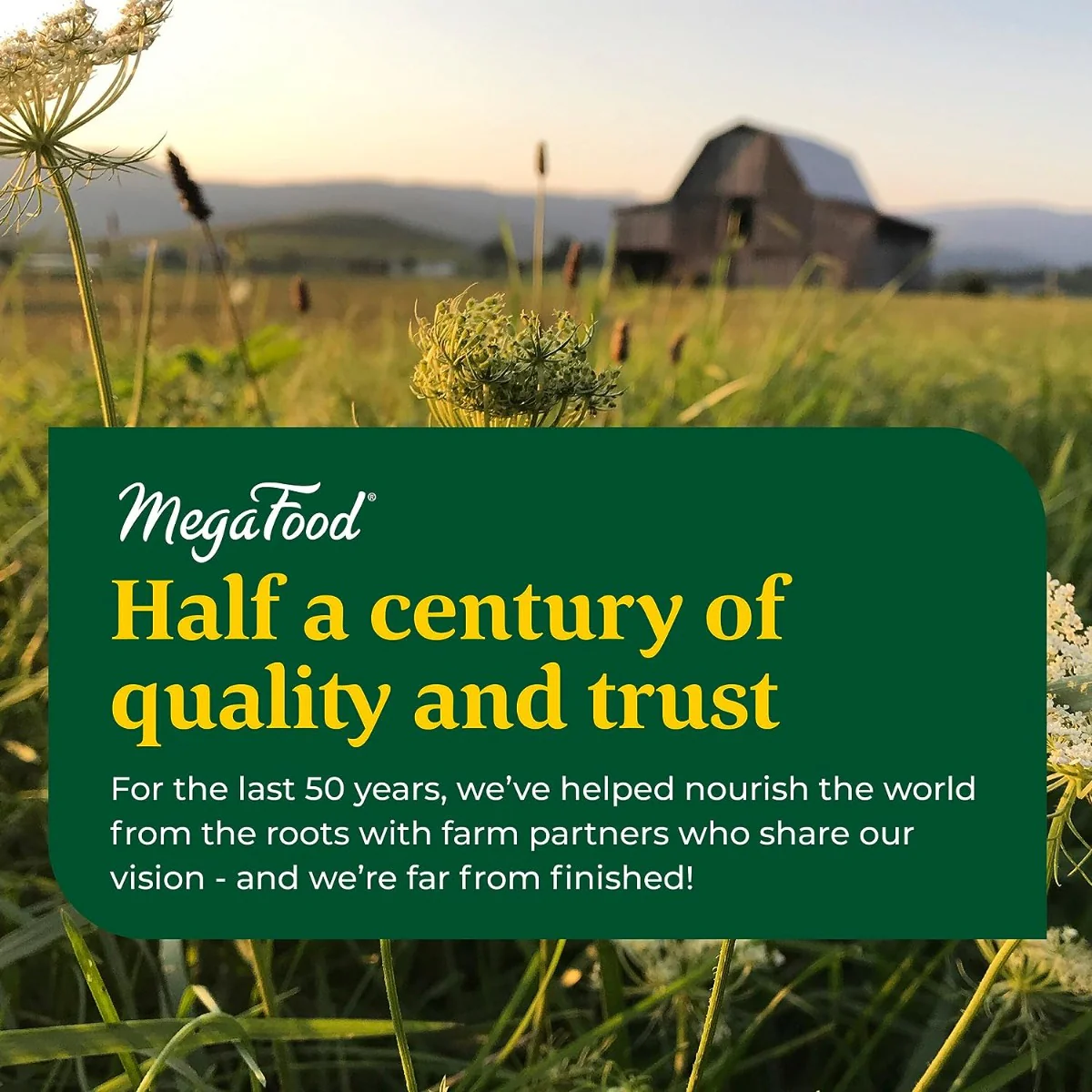 Women's One Daily 30 Tablets - Image 6